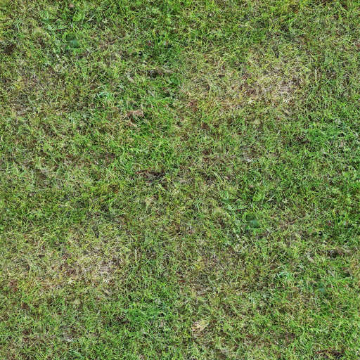Smooth grass texture to download - ManyTextures