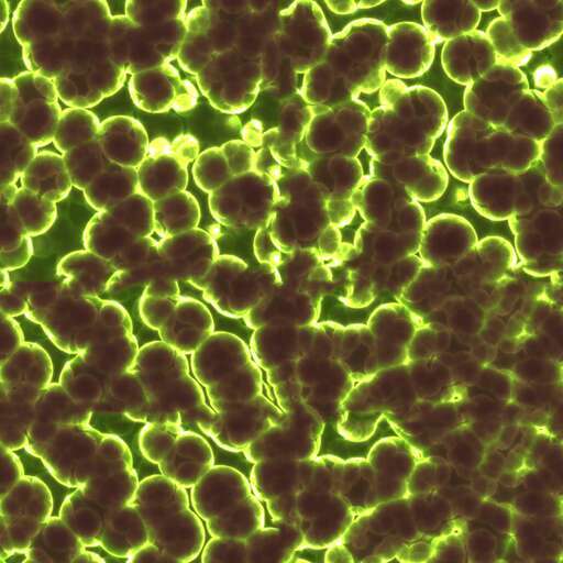Microbes algae is a royalty-free texture in the category: seamless pot tileable pattern green algae bacteria microbes biology science