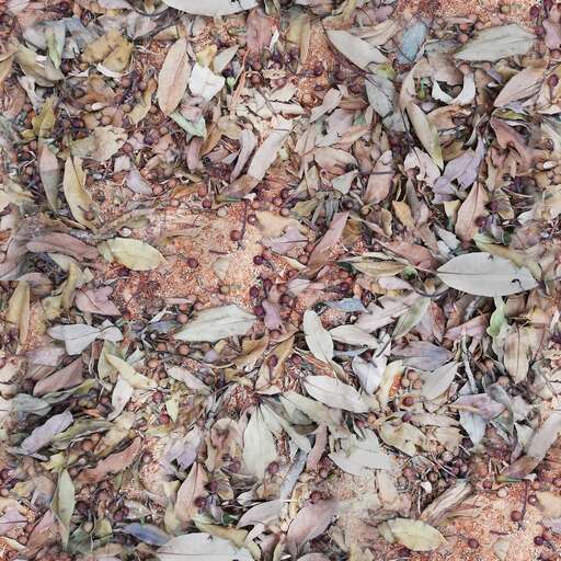 Forest soil is a royalty-free texture in the category: seamless pot ground tileable leaves forest pattern soil nature