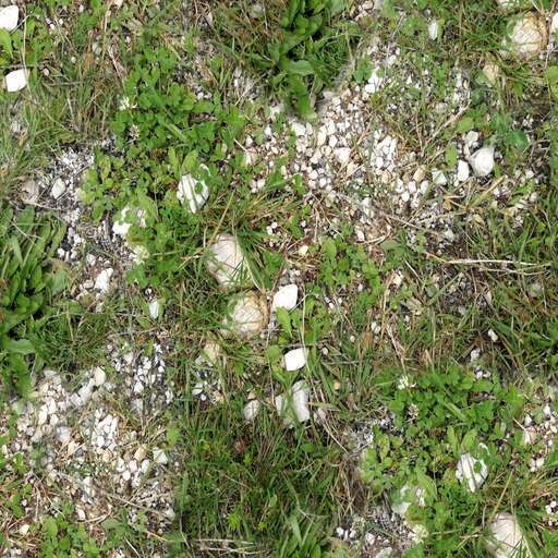 Rocky forest ground is a royalty-free texture in the category: seamless pot grass ground tileable stone rock forest pattern