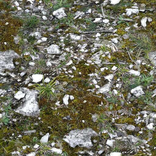 Mountain ground soil is a royalty-free texture in the category: seamless pot grass ground tileable stone rock mountain pattern soil nature vegetation