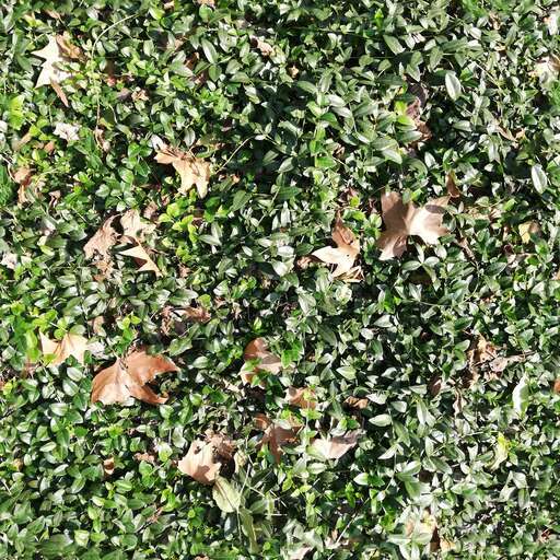 Green plant leaves is a royalty-free texture in the category: seamless pot tileable leaves pattern green nature plant