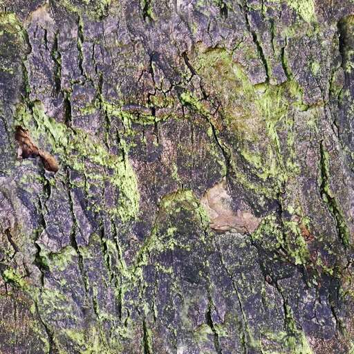 4096 x 4096 seamless pot tileable tree dark bark pattern nature mold Mold dark bark tree free texture
