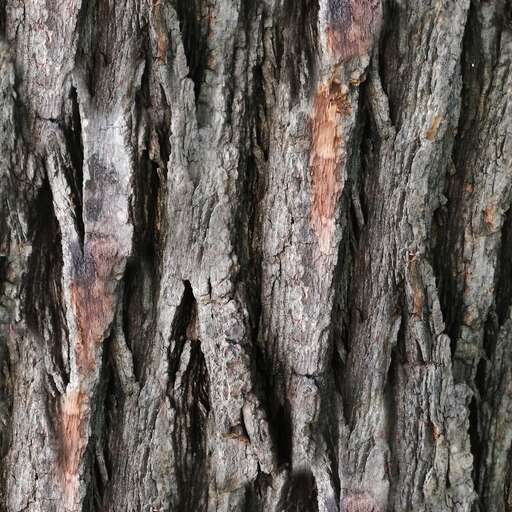 4096 x 4096 seamless pot tileable tree dark bark pattern nature rough Dark rough tree bark free texture