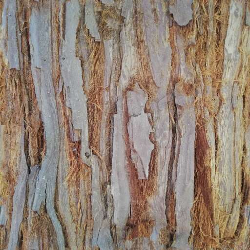 Frayed tree bark is a royalty-free texture in the category: seamless pot tileable tree bark broken pattern nature