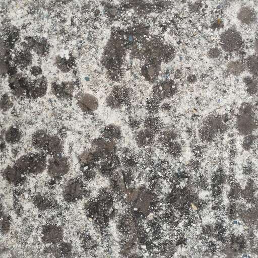 Dirty stone rock concrete lichens is a royalty-free texture in the category: seamless pot ground wall stone concrete rock dirty lichens tileable pattern