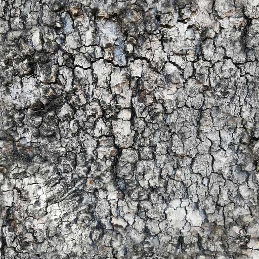 Cracked tree bark is a royalty-free texture in the category: seamless pot tileable tree bark broken pattern rough cracked