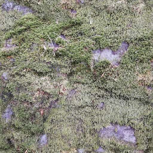 Stone rock moss musk is a royalty-free texture in the category: seamless pot tileable stone rock pattern green nature moss musk