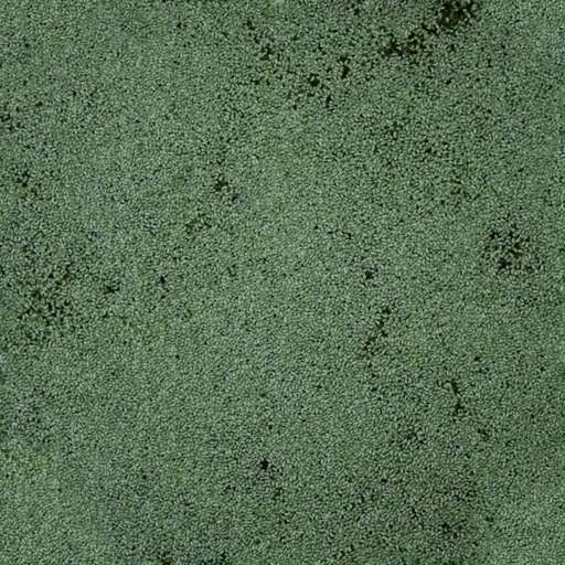 Pond Algae is a royalty-free texture in the category: seamless pot green algae nature pond