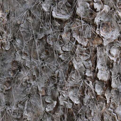 4096 x 4096 seamless tree bark pattern nature Rough tree bark free texture