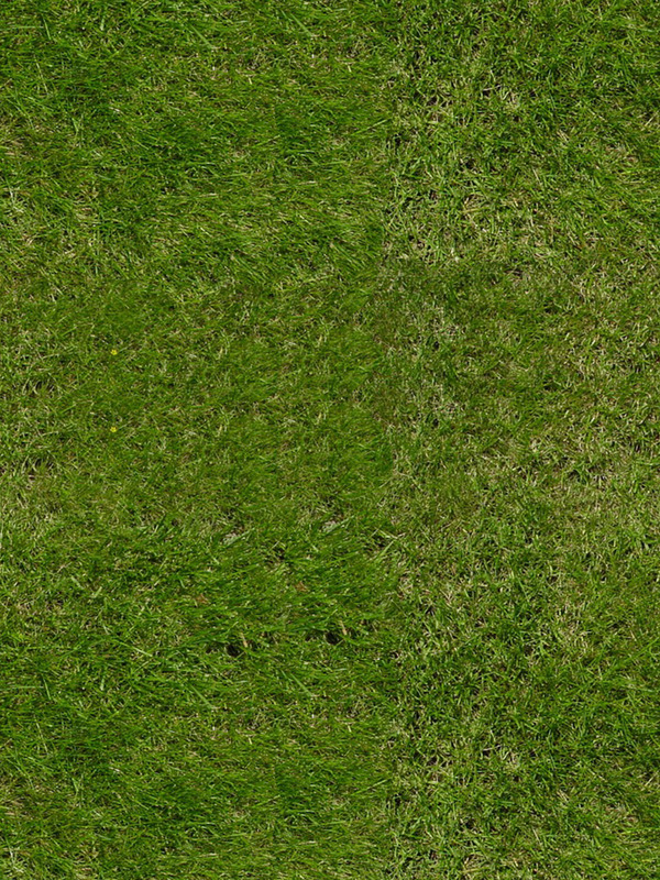 Green grass texture to download - ManyTextures