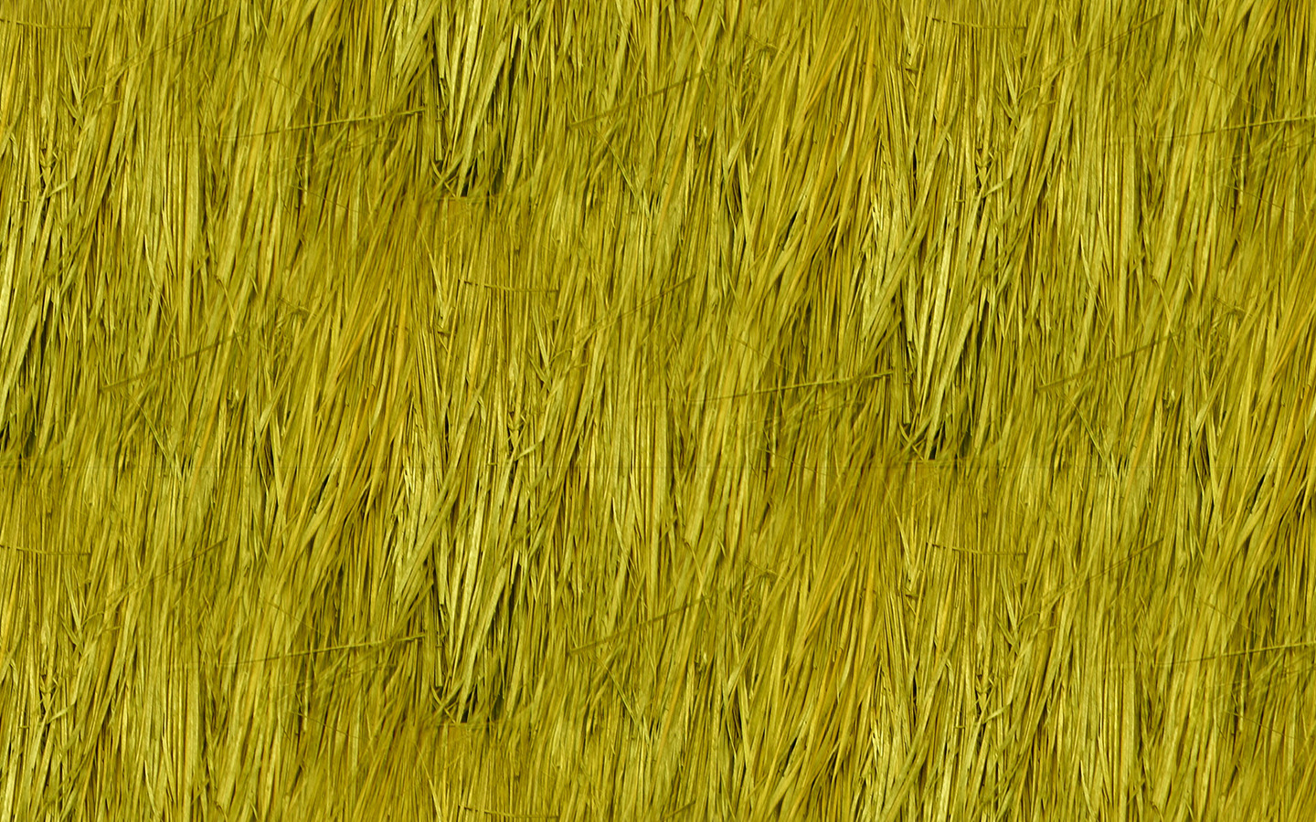 Golden Yellow Hay Straw As Textured Background Stock Photo